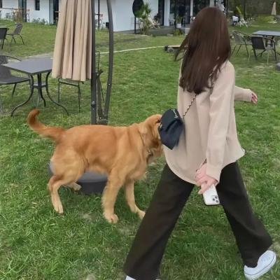 再见少女时代