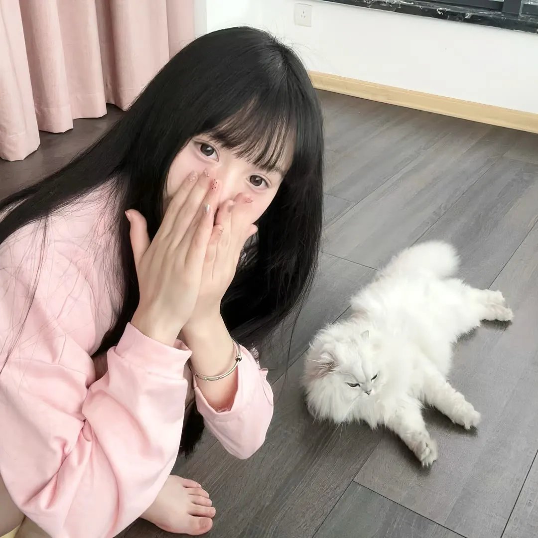 百胜铁骑军